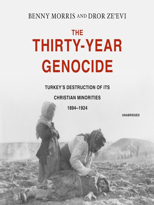 Title details for The Thirty-Year Genocide by Benny Morris - Wait list